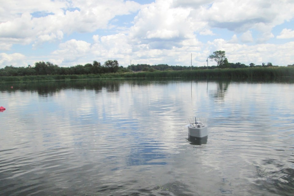 Callander sewage lagoon~suppliedcrop