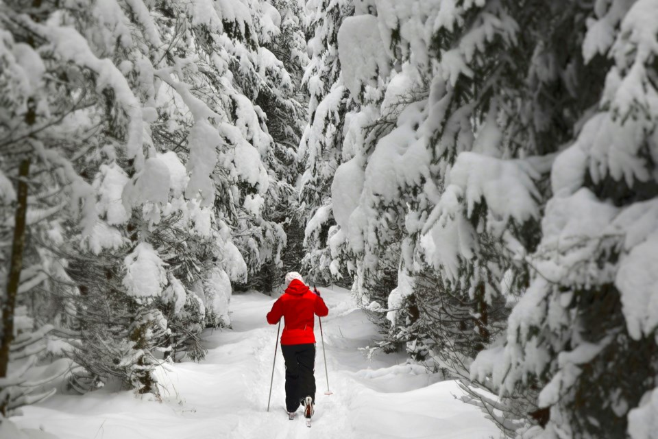 cross-country-skier2025pexels-stockcrop
