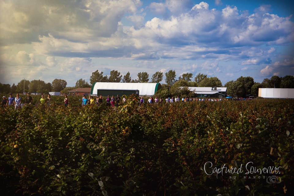 The people prepare to feast at the 2019 Feast on the Farm / Photo supplied