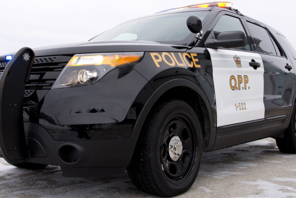 20190310 opp cruiser OPP(1)