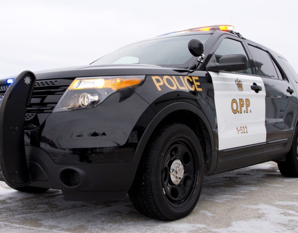 20190310 opp cruiser OPP