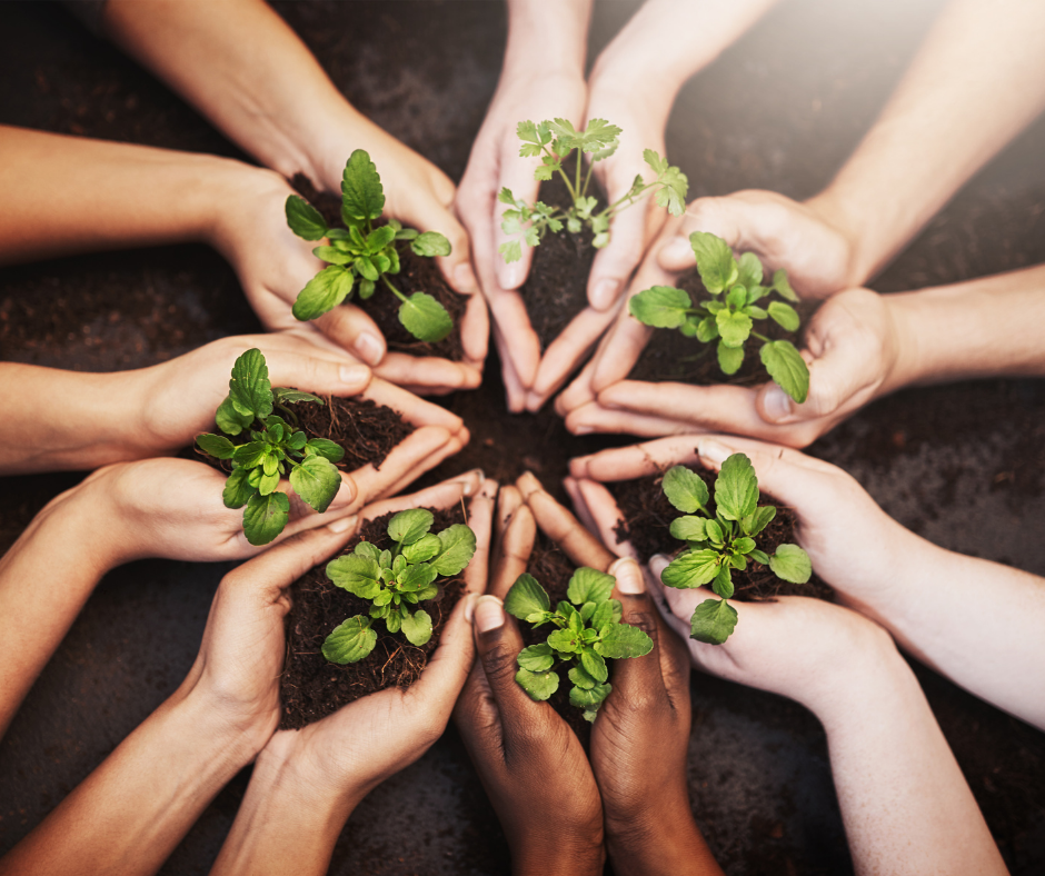 Step 5 To PLAY NICE Is N Nurture Relationships North Bay News