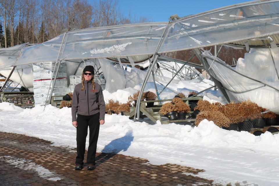 Lori Laporte stands in front of the collapsed greenhouses. Photo courtesy Kathie Hogan.