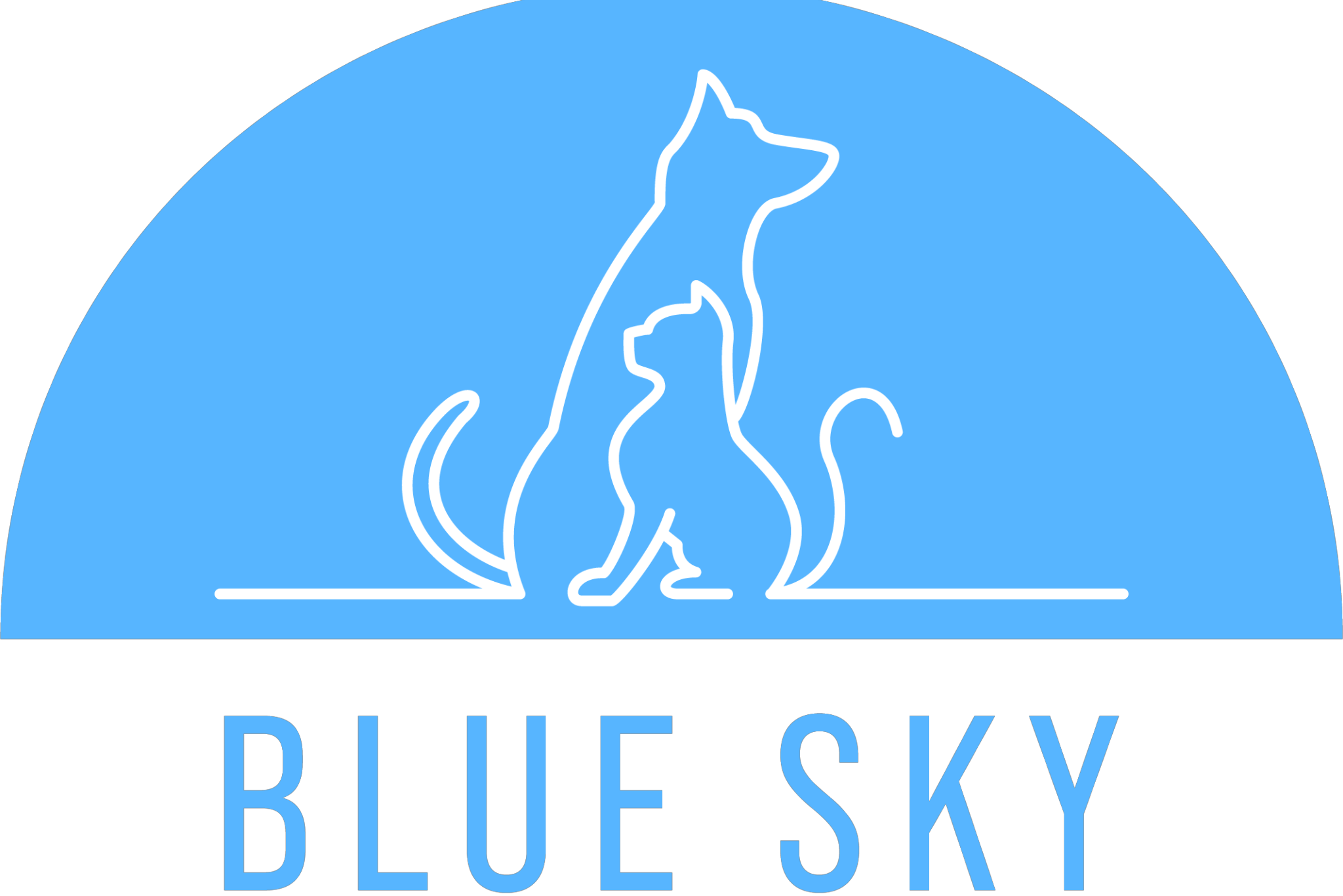 Blue Sky Animal Hospital unveils its new logo - North Bay News Blue Sky Animal Hospital unveils its new logo - North Bay News