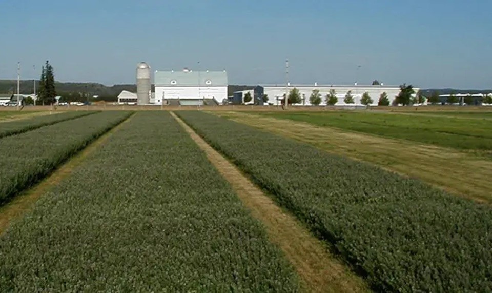 20240626new_liskeard_agricultural_research_station_johnrowsell