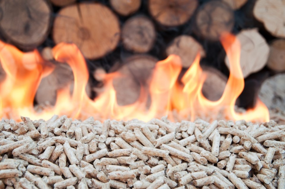 biomass wood pellets shutterstock_151227032 2016