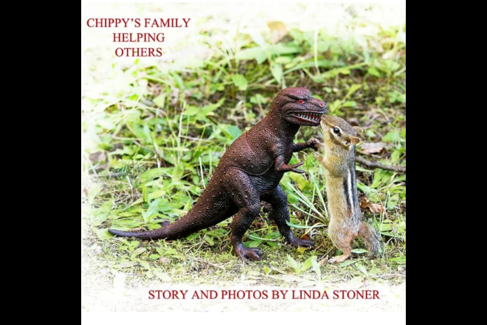 Cover of Linda Stoner's book