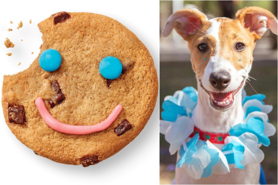 2024-04-15-spot-smile-cookie
