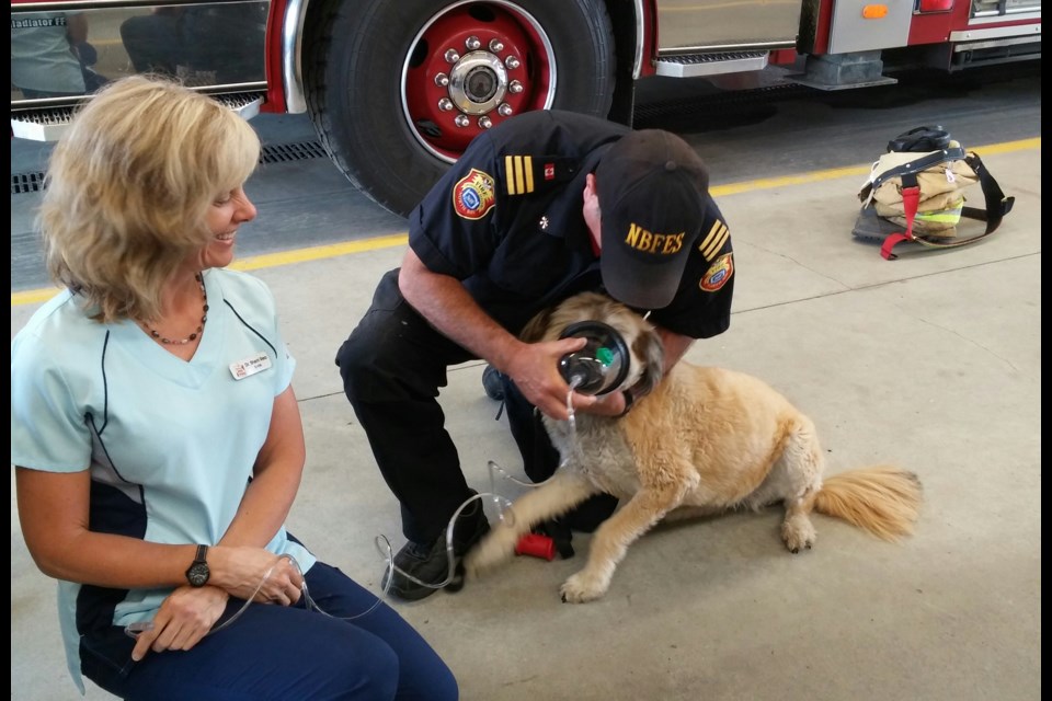 Chief Training Officer Andrew Girard, demonstrates the use a pet oxygen mask. Assisting are Dr. Sherri Rea, and Molly