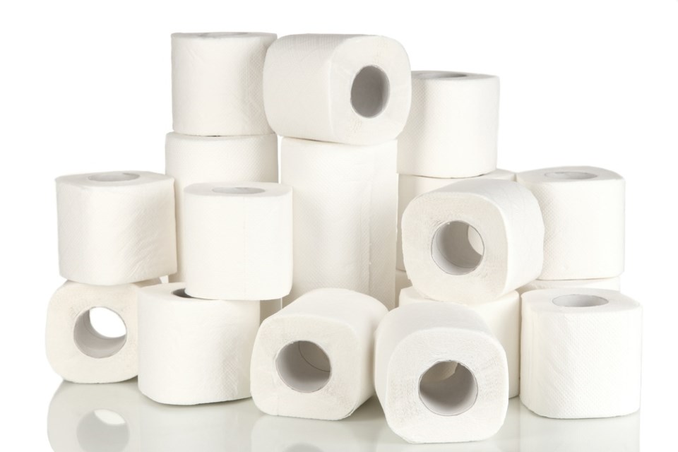toilet paper rolls shutterstock_123718372 2016