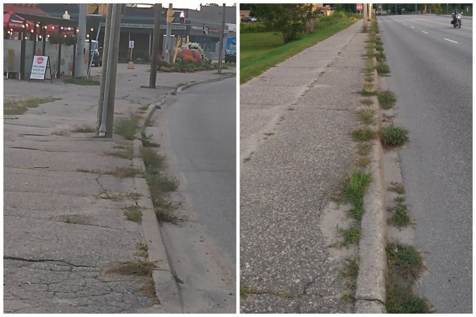 The weeds along city streets have drawn some negative attention.