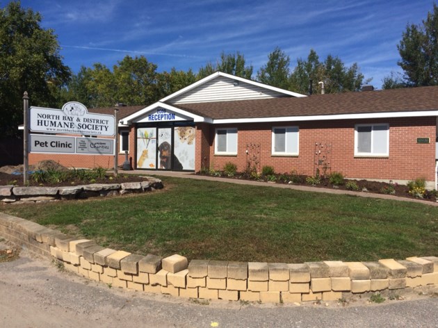 'We’re trying to limit as much access to the facility as possible, so we made the decision to stop adoptions going forward,” said executive director Liam Cullin.