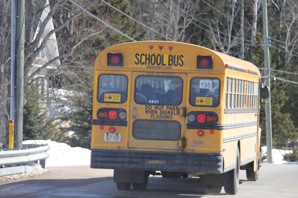 2019 school bus winter turl