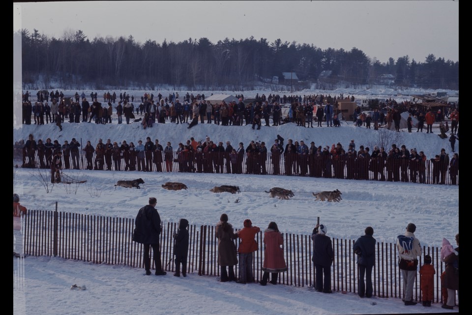 Dog sled races were central to North Bay’s winter fur carnivals. Events included a sled dog derby for adults, a “kid and his mutt” contest for single dog teams driven by youth under 13, and a junior derby for teams of 3-5 dogs driven by amateurs. 
