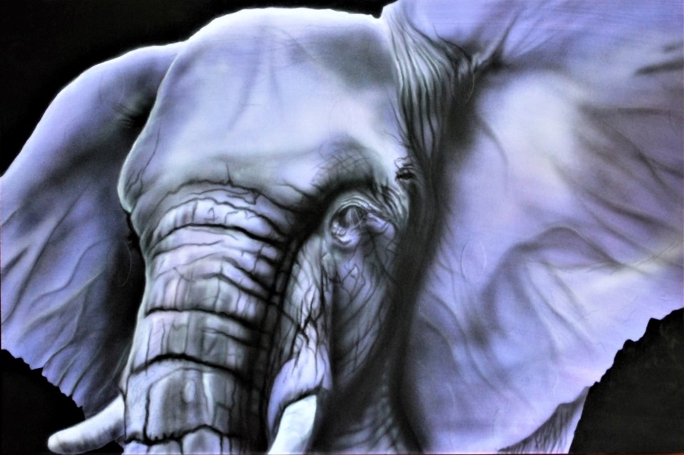 jeff marceau's purple elephant