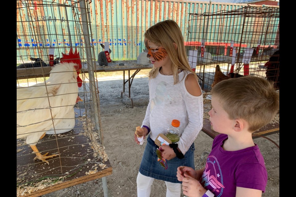 Emma Wallace, 9 and her brother Jonathan, 6 from Powassan stare down a rooster at the poultry display at the Powassan Fall Fair. Jeff Turl/BayToday.