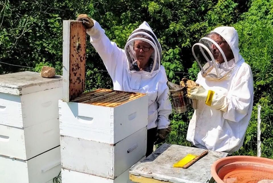 2022-honeyfest-powassan
