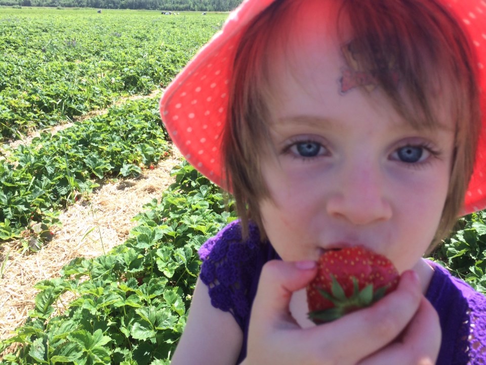 strawberry hazel turl 2015