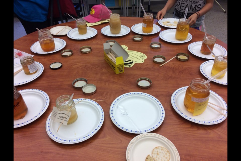 There were 30 different types of honey available. Tasters were asked which flowers were in each sample. Photo by Jeff Turl.