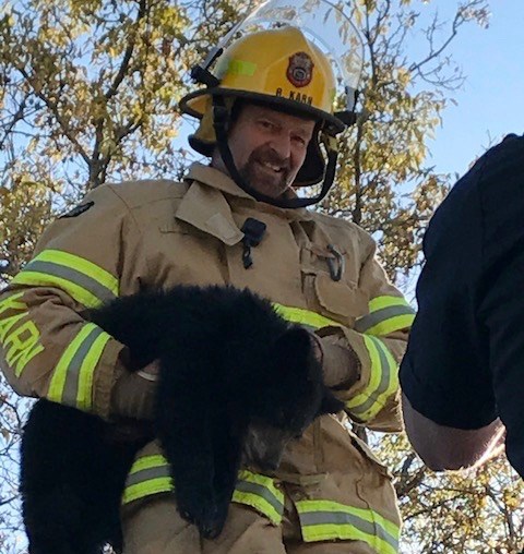 Fire-Fighter Randy Karn holds the tranquilized bear cub.  Photo submitted. 