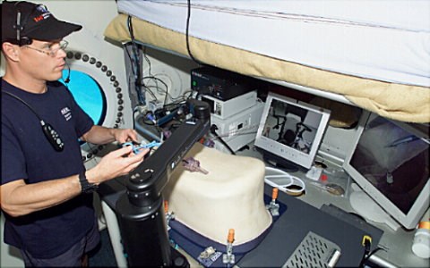 Dr. Craig McKinley at work in the Aquarius Underwater Laboratory. Photo used with permission.