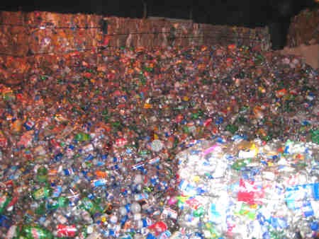 A sea of bottles at North Bay's recycling plant.