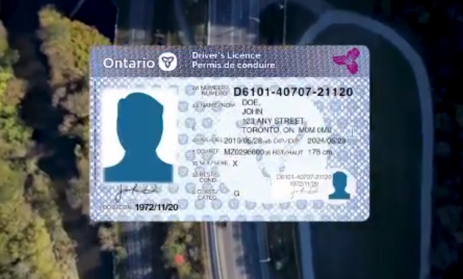 new ontario driver's licence