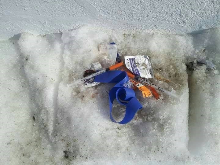 2019 needles in snow turl