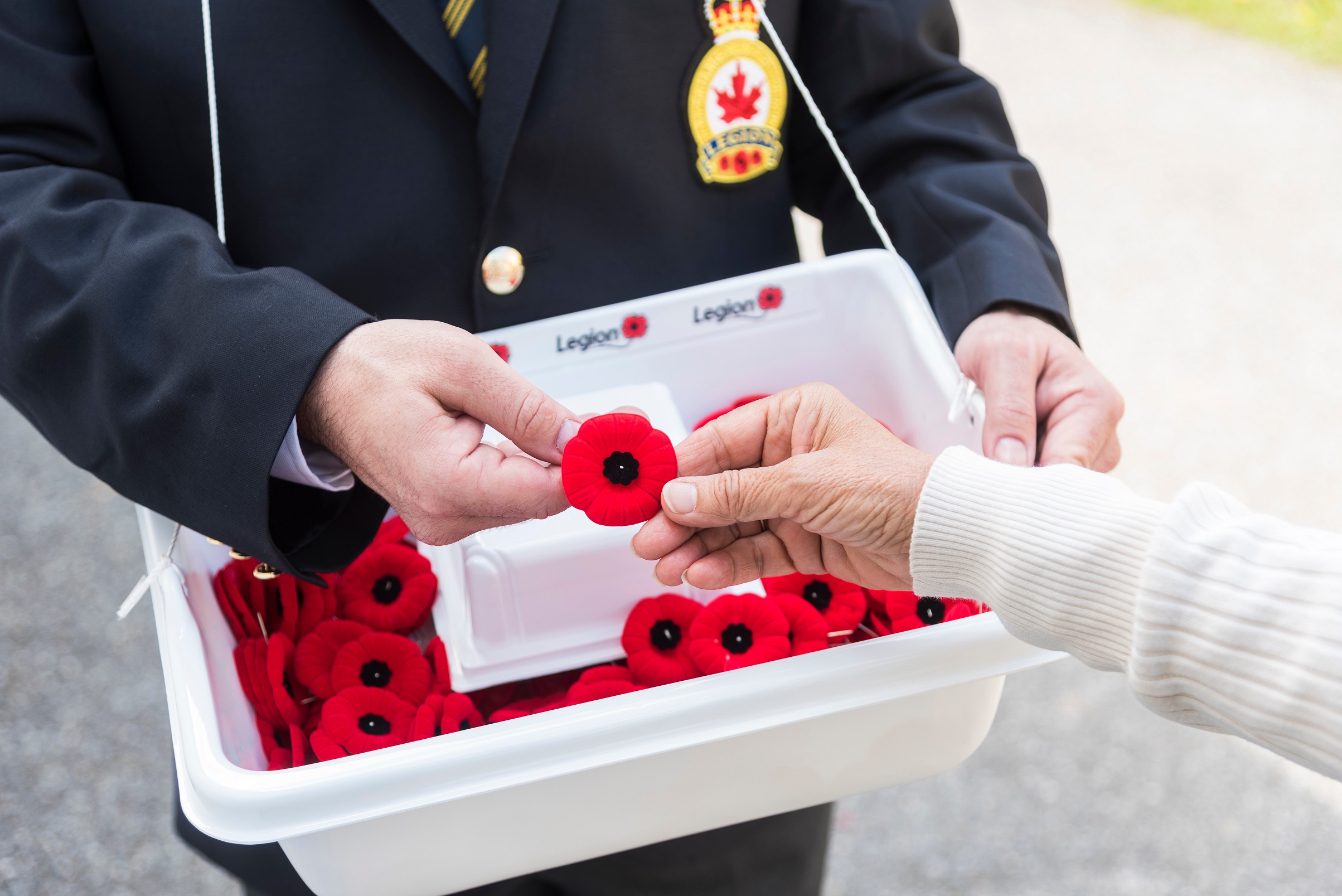 Royal Canadian Legion's 2021 National Poppy Campaign set to launch