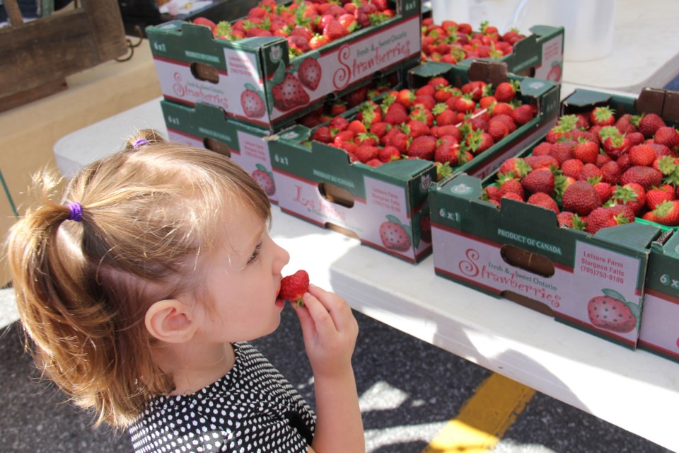 USED 170713 4 Evelyn Craig, 3, enjoys a tasty treat at the Leisure Farms booth, Farmers Market. Photo by Brenda Turl for BayToday.