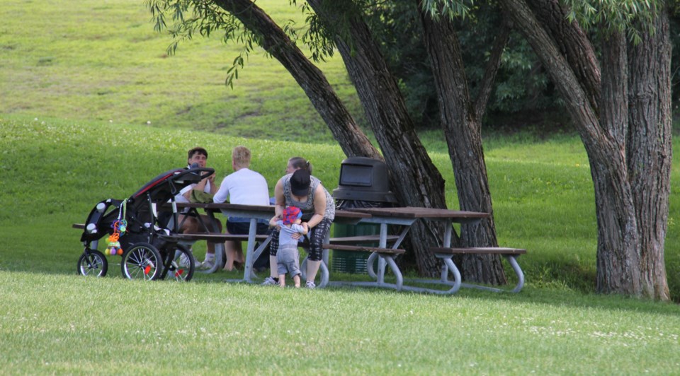 USED 170720 6 Picnics in the park. Photo by Brenda Turl for BayToday.