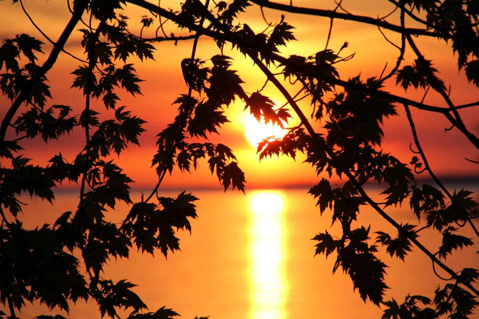 USED 170608 8 Sunset and leaves. Lake Nipissing. Photo by Brenda Turl for BayToday.