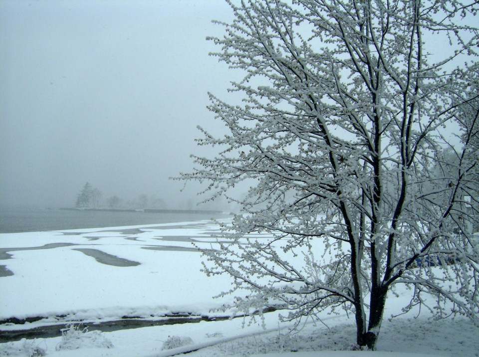 USED20171122 05 Lake Nipissing shoreline in early winter. Photo by Brenda Turl for BayToday.