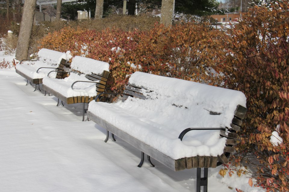 USED 20171122 06 Lonely benches at the waterfront. Photo by Brenda Turl for BayToday.