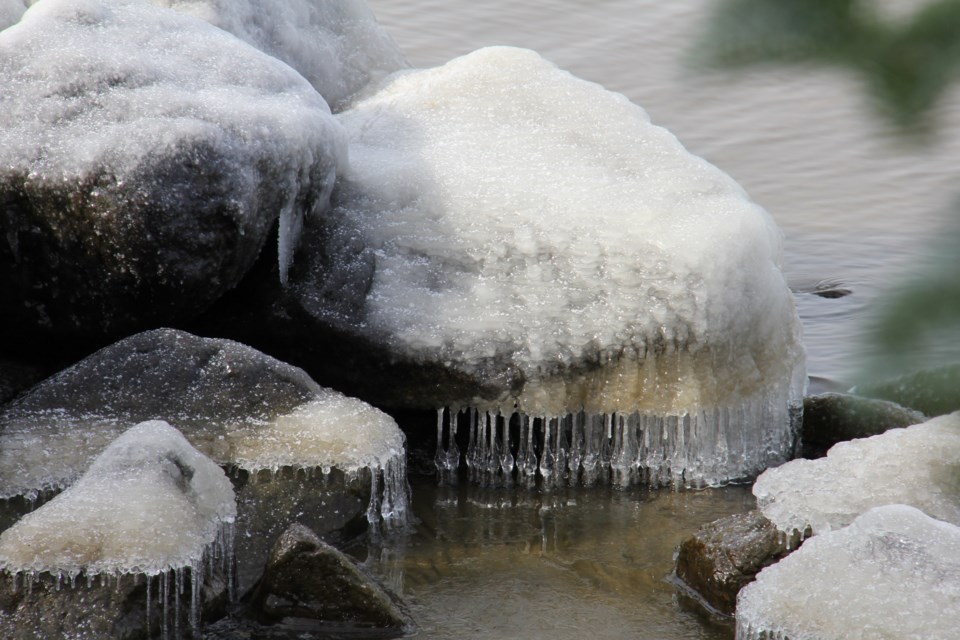 USED 20171123 01 Encased in ice. Photo by Brenda Turl for BayToday.