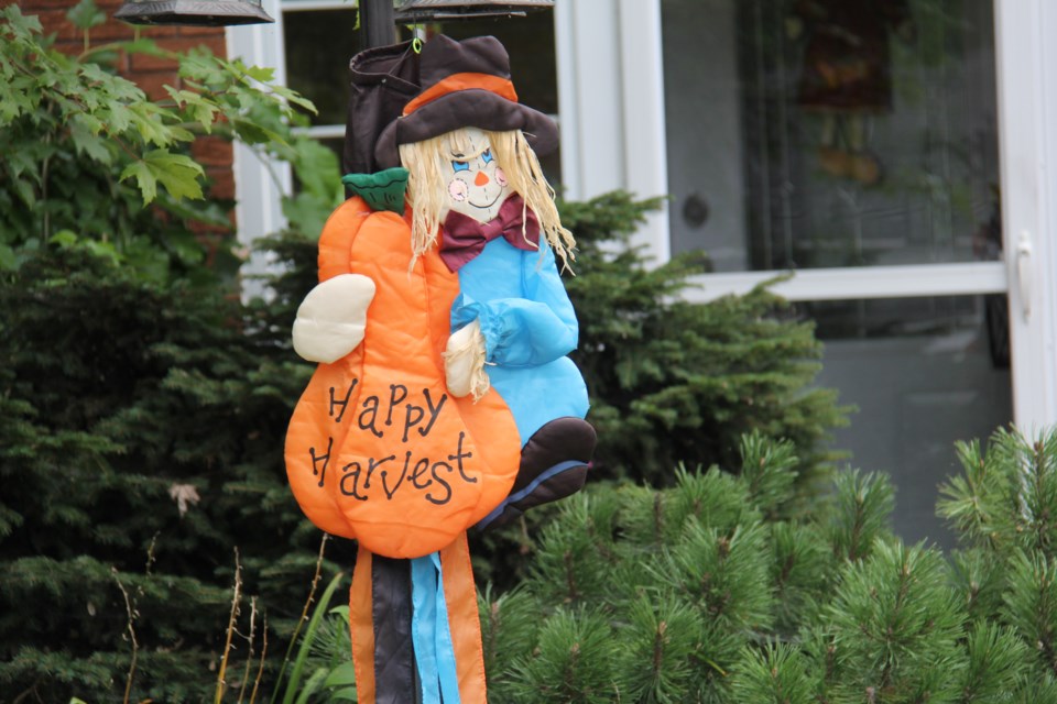 USED 171005 01 Happy Harvest. Photo by Brenda Turl for BayToday.