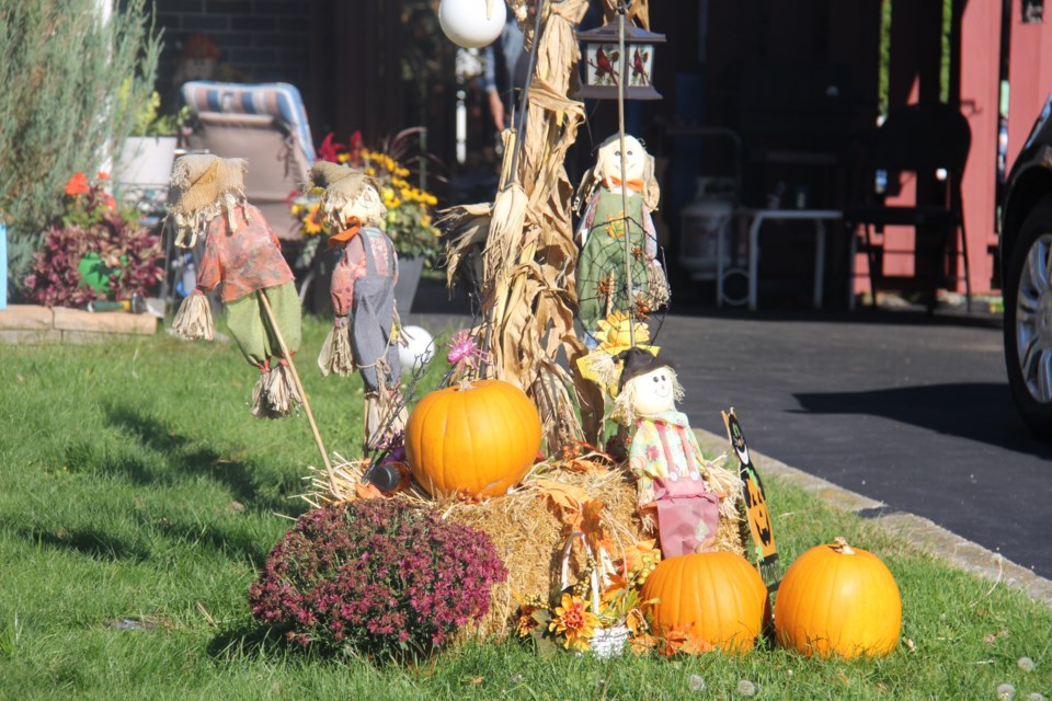 USED20171019 02 An Autumn display brightens up Herman Crescent. Photo by Brenda Turl for BayToday.