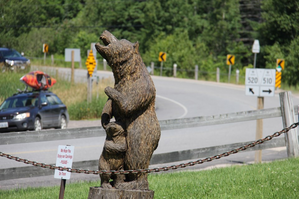 USED 170908 5 Big bear Magnetewan. Photo by Brenda Turl for BayToday.