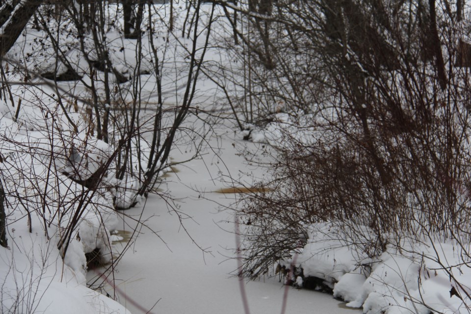 USED 20180110 3 Chippewa Creek in winter. Photo by Brenda Turl for BayToday.