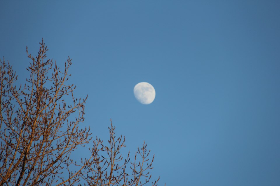 USED20180215 10 Moon in daytime. Photo by Brenda Turl for BayToday.