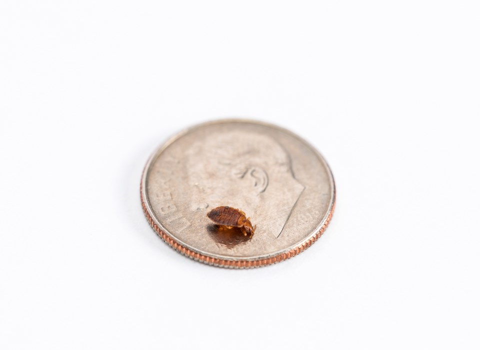 20171218_Orkin Bed Bug Shoot_00038035