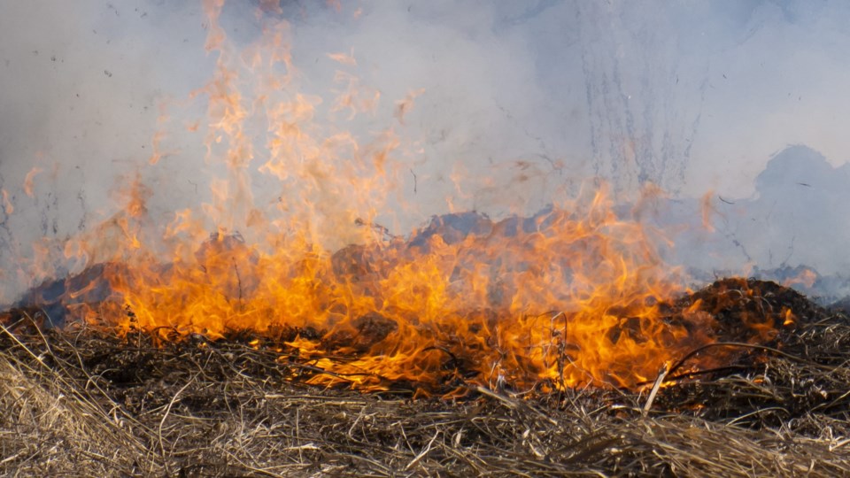 Brush fire crop (AdobeStock)