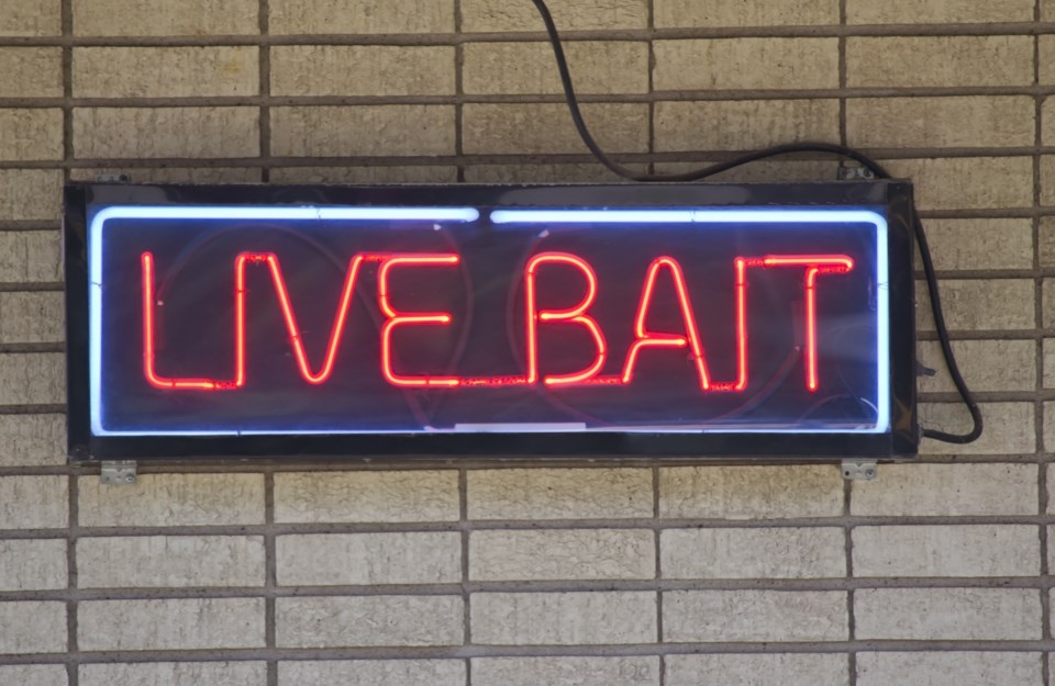 live bait sign AdobeStock_44058879 2017