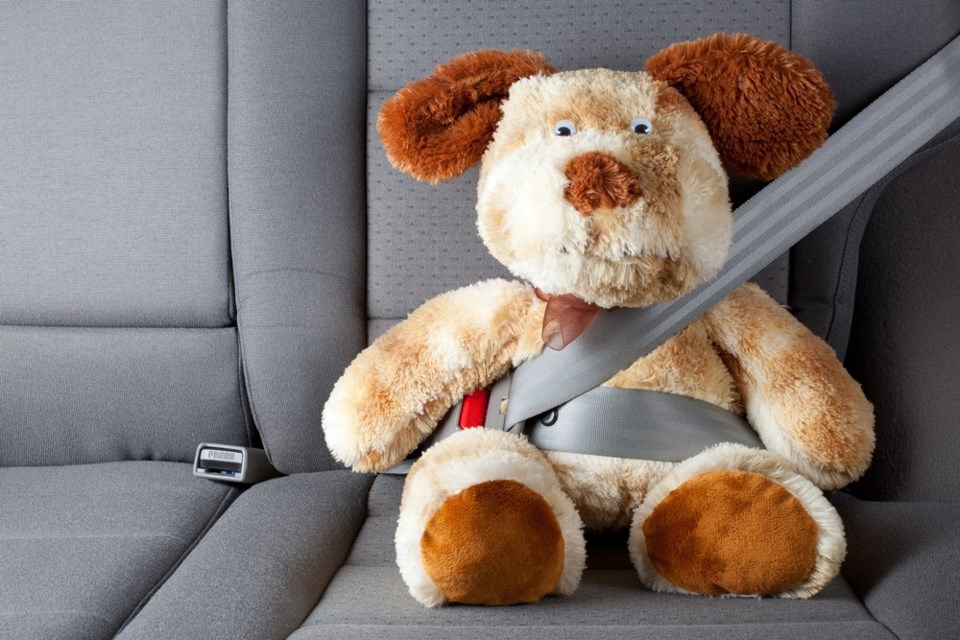 seat belt teddy bear shutterstock_235188508 2016