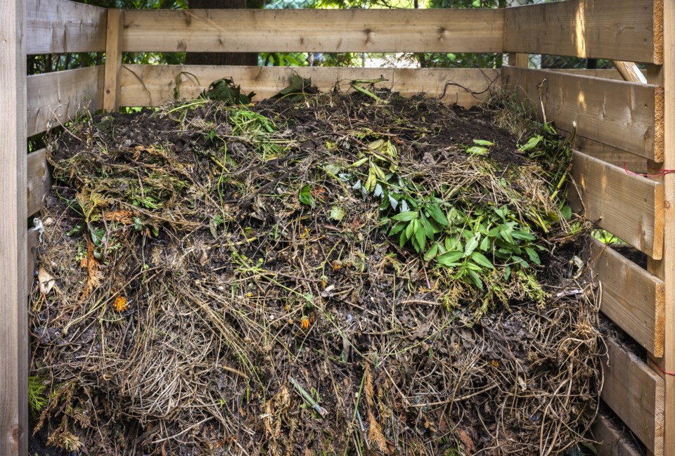 yard waste composting AdobeStock_76608980 2017