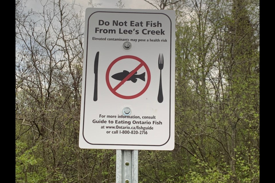 Lee's Creek is closed to fishing because of PFAS contamination. Jeff Turl/BayToday.