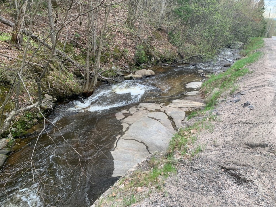 20191216 lee's creek turl 1
