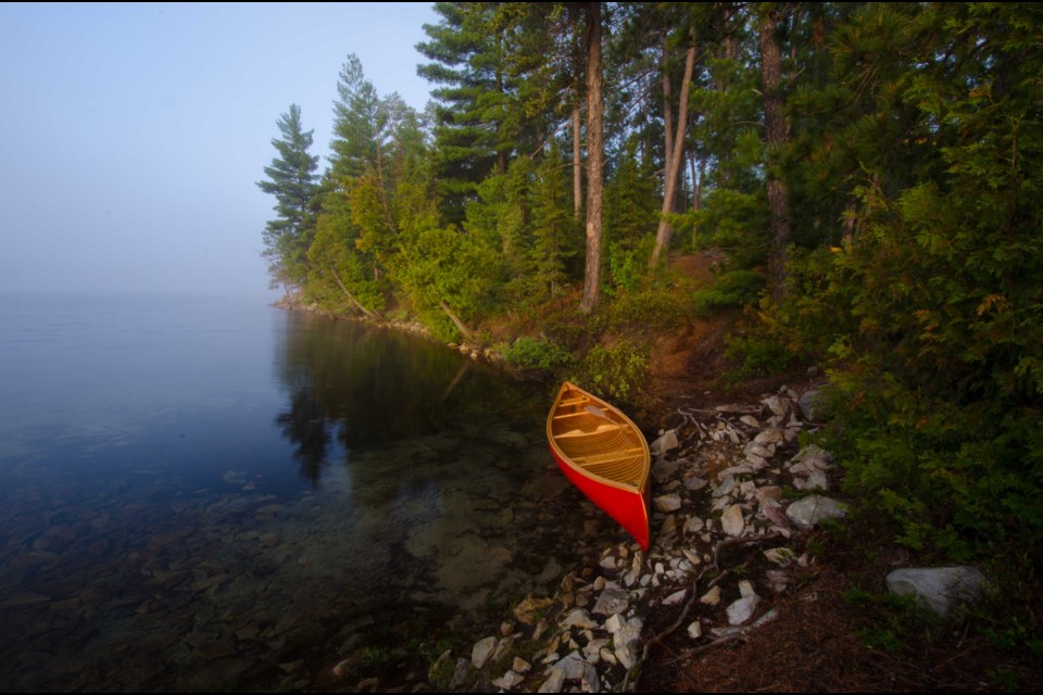 This photo by Chris Mayne won first place in the "Nature" category. Courtesy Chris Mayne.