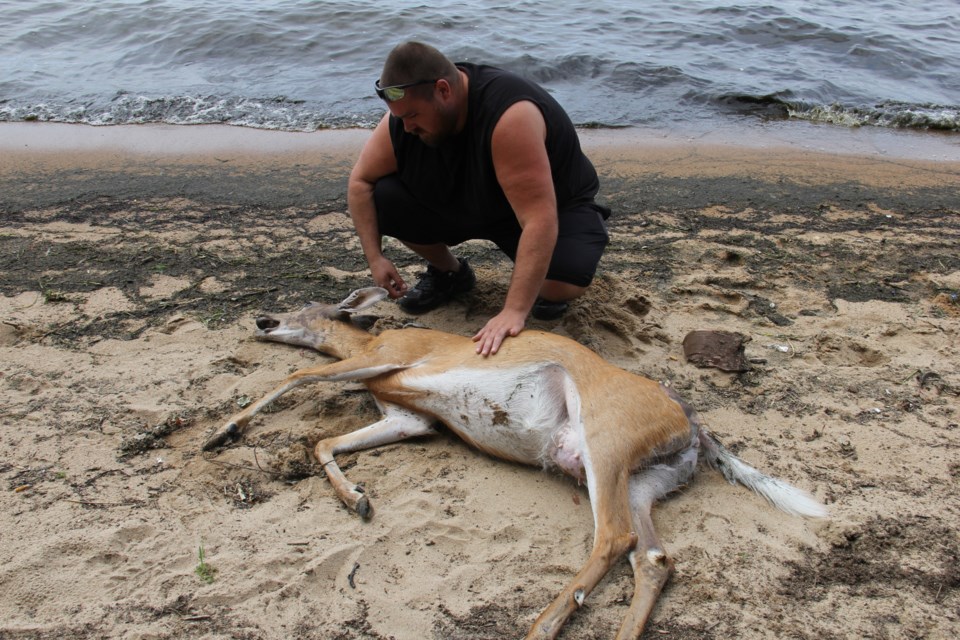 Currey Serre of Mattawa comforts an injured deer on a beach near Parks Creek. Photo by Jeff Turl.
