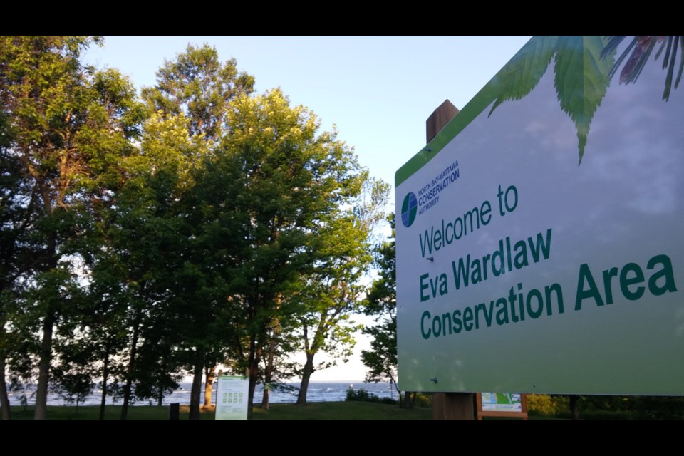Eva Wardlaw Conservation Area, located off Lakeshore Drive on the shores of Lake Nipissing. Photo by Stu Campaigne